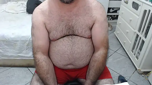 MysterBearMG online show from November 7, 2:11 am