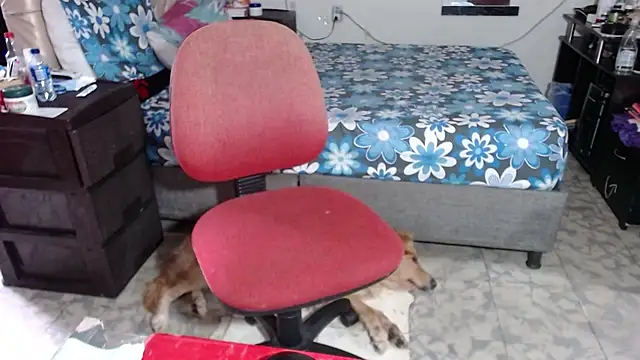 Barbiegomez online show from November 26, 9:27 pm