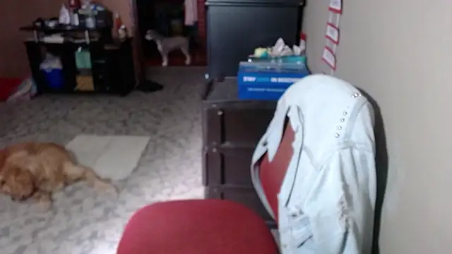 Barbiegomez online show from March 17, 6:11 pm