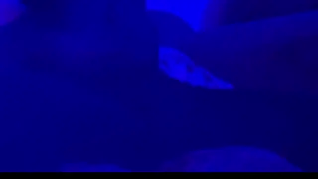 montydxxxx online show from September 25, 10:35 pm