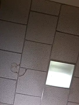 curiouscock38 online show from October 26, 8:42 am