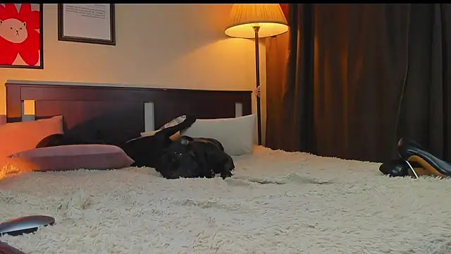 Lav Tender online show from February 1, 9:24 pm