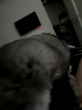 Furdale online show from October 2, 3:30 pm