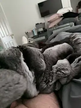 Furdale online show from October 30, 2:18 pm