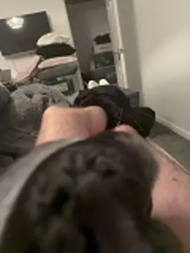 Furdale online show from November 3, 4:41 pm