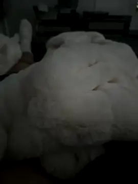 Furdale online show from November 5, 2:50 pm