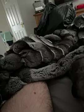 Furdale online show from March 23, 2:43 pm