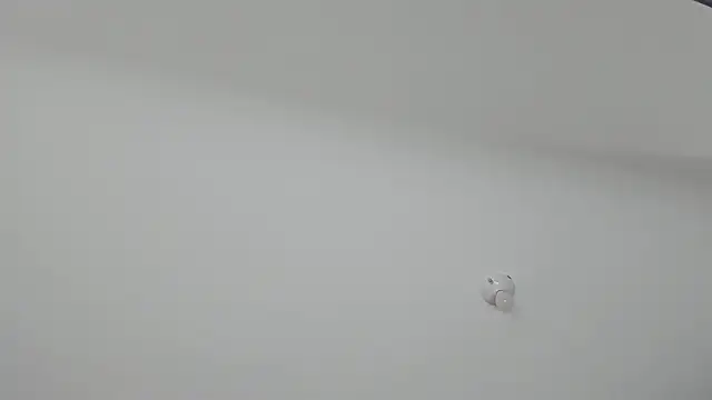 ms pickless online show from January 30, 12:16 pm