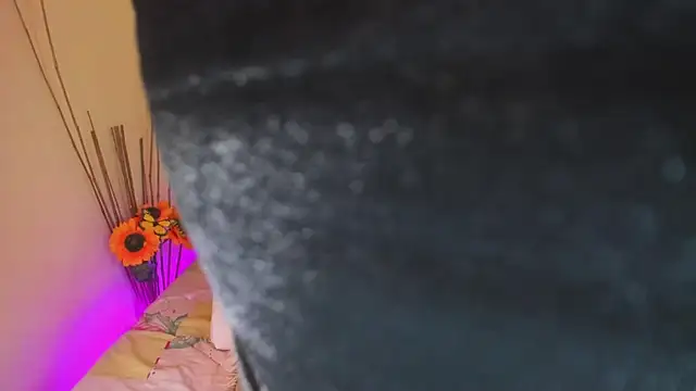 Snapshot of Julia_Haye chatting on February 18, 11:00 am Julia Haye online show from February 18, 11:00 am