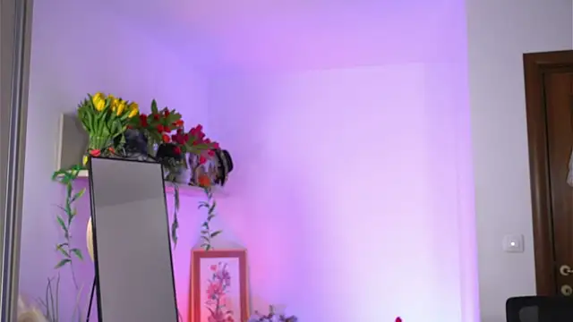 Amaliamour online show from February 26, 2:26 am