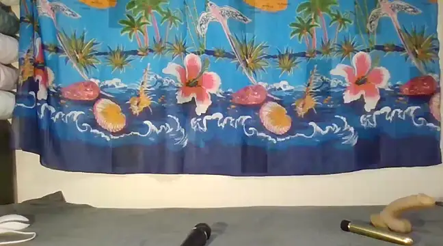 Snapshot of laetitiafun chatting on February 9, 4:29 pm laetitiafun online show from February 9, 4:29 pm