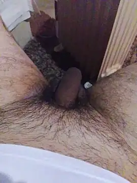 pedrosantos3366 online show from March 29, 4:56 am