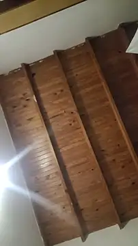 ZaraHoney online show from October 28, 5:11 am