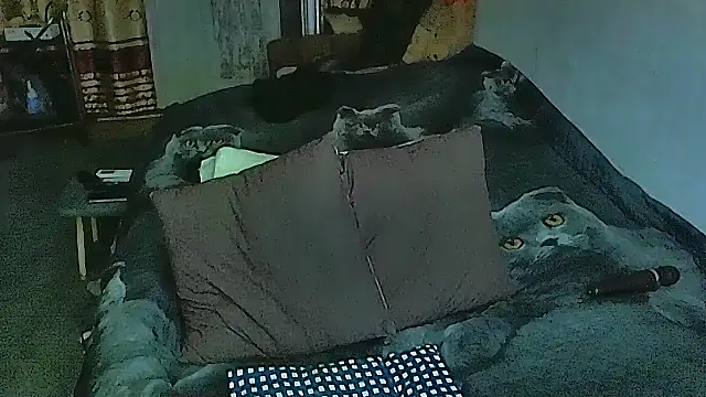 sex2 online show from September 29, 5:40 pm