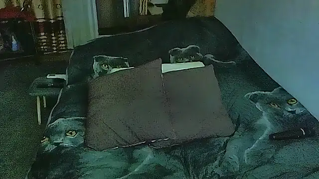 sex2 online show from November 10, 11:26 pm