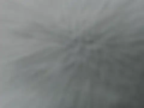 Lauren baby online show from December 16, 11:21 pm