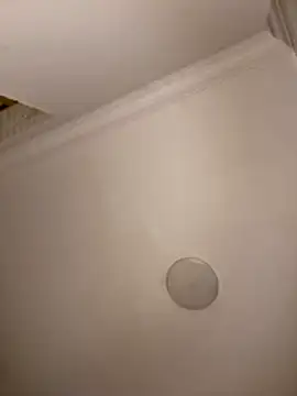 Drkats online show from March 18, 1:53 am