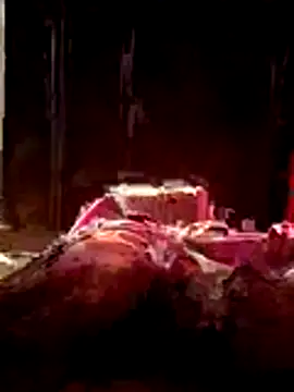 Bibikami online show from February 10, 2:59 am