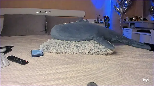 Snapshot of Diamond_D_ chatting on October 16, 5:03 pm Diamond D online show from October 16, 5:03 pm