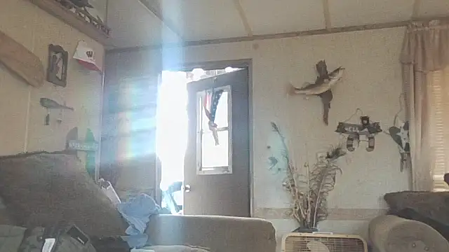 Yankeedave420 online show from November 19, 6:08 pm