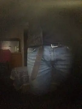 translove online show from December 16, 1:43 pm