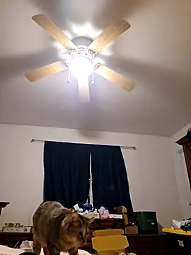 Snapshot of ScarletCallings420 chatting on February 19, 3:27 pm ScarletCallings420 online show from February 19, 3:27 pm