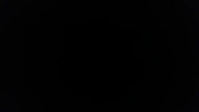 palidin1 online show from February 9, 3:49 pm