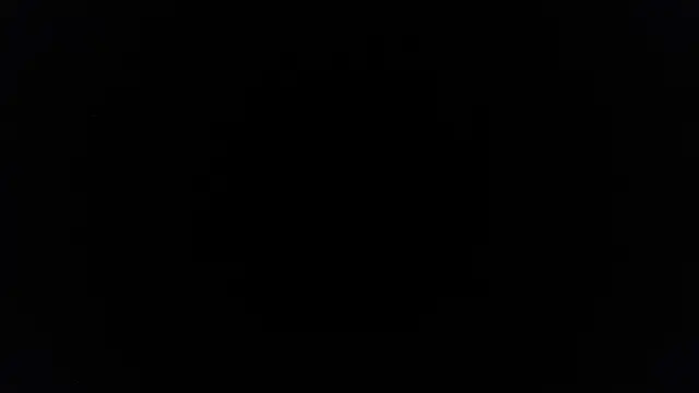 palidin1 online show from June 27, 7:41 pm