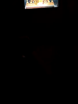 baygizemliadam online show from November 3, 12:24 am