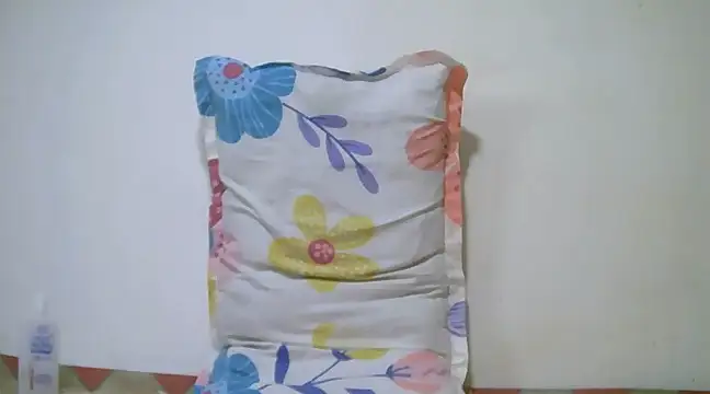 h0ney lips online show from January 13, 6:49 am