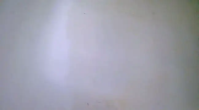 h0ney lips online show from February 23, 12:30 am