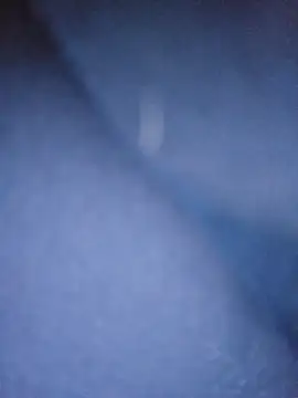 Snapshot of Arbitrair chatting on October 28, 5:37 pm Arbitrair online show from October 28, 5:37 pm