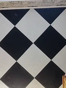 Snapshot of Rini333 chatting on March 4, 8:42 am Rini333 online show from March 4, 8:42 am