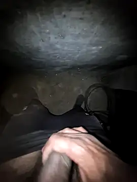 Snapshot of breejs chatting on October 21, 3:46 pm breejs online show from October 21, 3:46 pm