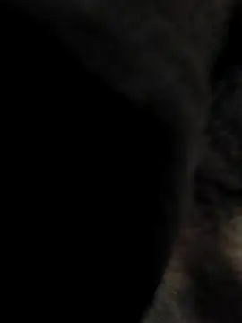 indian boy001 online show from February 23, 3:45 am