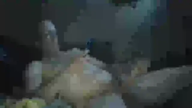 Wyleyxh online show from September 23, 8:28 am