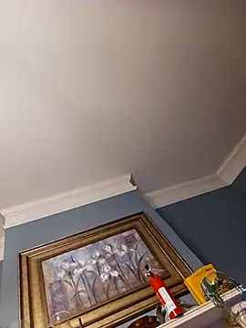 chosen923 online show from February 22, 2:39 am