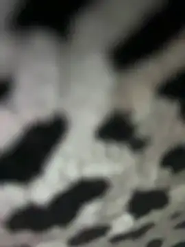 Sarita-candy online show from January 31, 8:01 pm