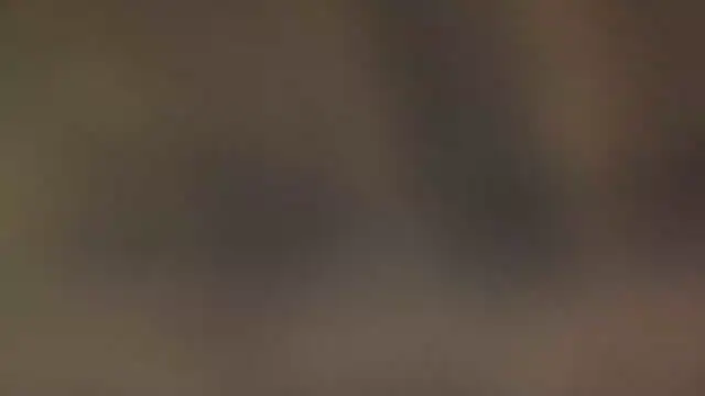 leccaleccafiga online show from March 10, 2:00 pm