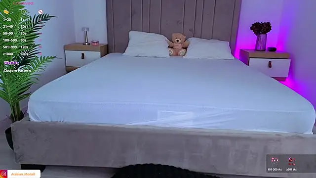 Snapshot of Arabian_beauty chatting on December 2, 9:47 am Arabian beauty online show from December 2, 9:47 am