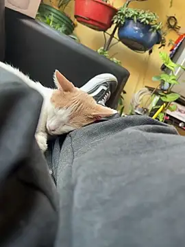 Lilmarieee online show from February 24, 4:15 pm