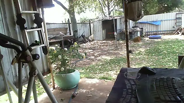 herbie010666 online show from October 12, 2:32 am