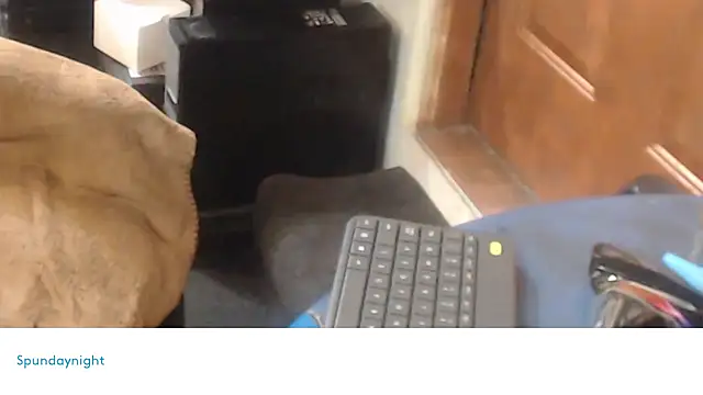 Spundaynightxh online show from February 12, 10:03 am