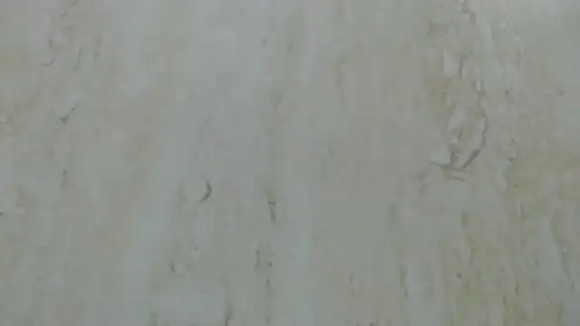 Snapshot of Crazy_team_ chatting on December 20, 3:31 pm Crazy team online show from December 20, 3:31 pm