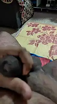 Swift2006 online show from February 11, 4:11 am