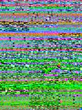 Snapshot of mrwilly7743 chatting on November 14, 1:04 am mrwilly7743 online show from November 14, 1:04 am