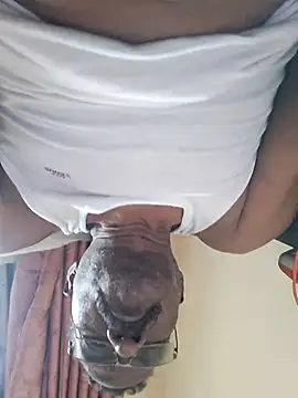 Maddymissile online show from March 16, 8:40 am