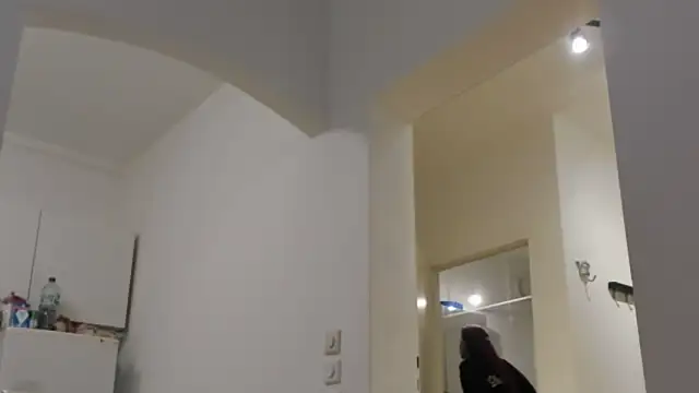 Snapshot of tamarapervert chatting on November 20, 6:51 pm tamarapervert online show from November 20, 6:51 pm