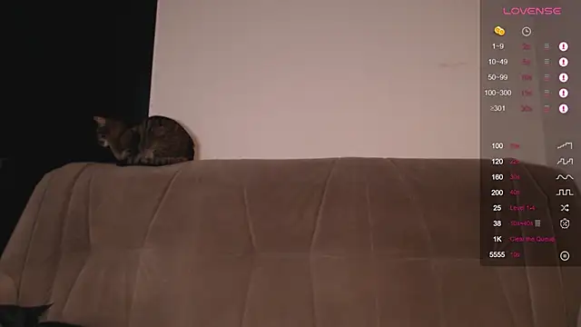 Herman Elfi online show from January 14, 2:29 am