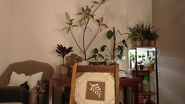 Herman Elfi online show from March 13, 11:16 pm